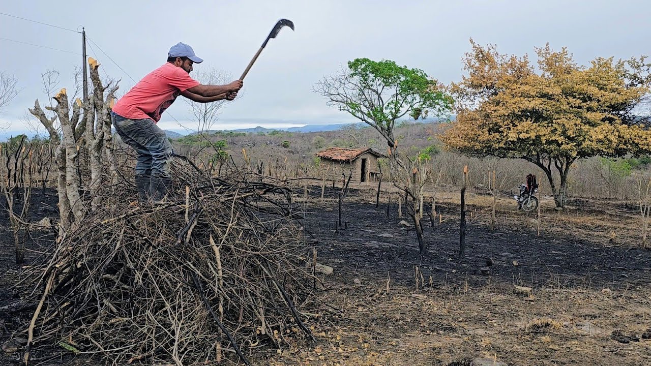O agricultor tá feliz por que choveu na paraiba e já tá plantando seu roçado 🙏