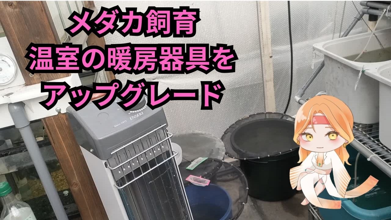 でぶのおっちゃん温室のヒーター突然購入その実力は