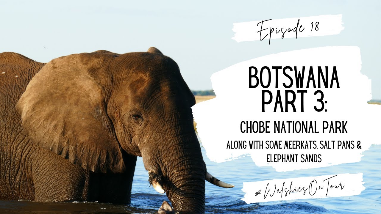 Ep 18: Botswana Part 3 - Chobe National Park along with some Meerkats, Salt Pans & Elephant Sands
