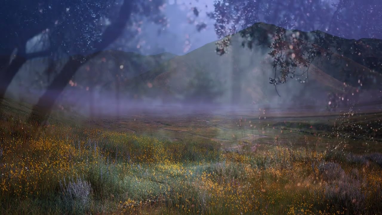 Peaceful Classical Music: Serene Night Forest Relaxation