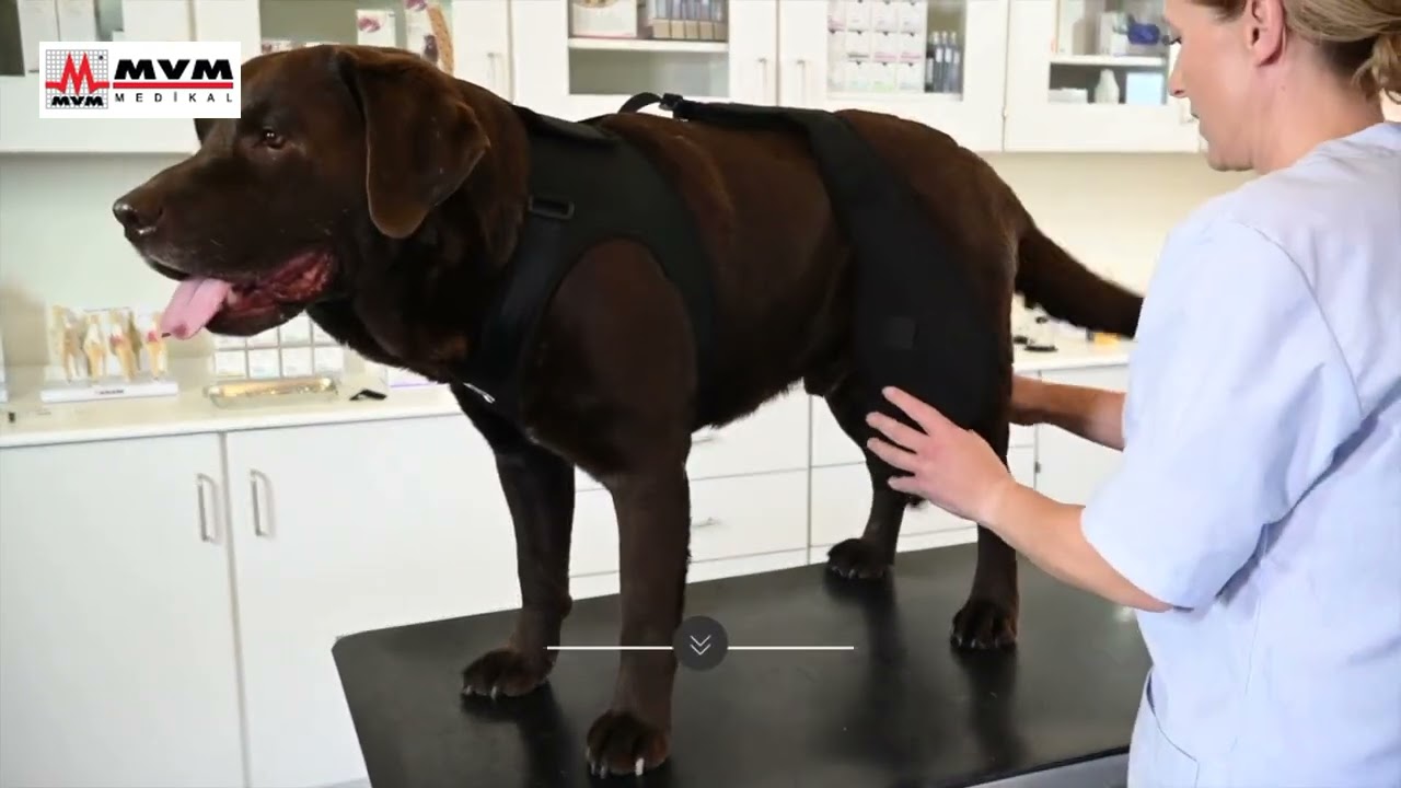 KRUUSE REHAB PRO Diz Koruyucu