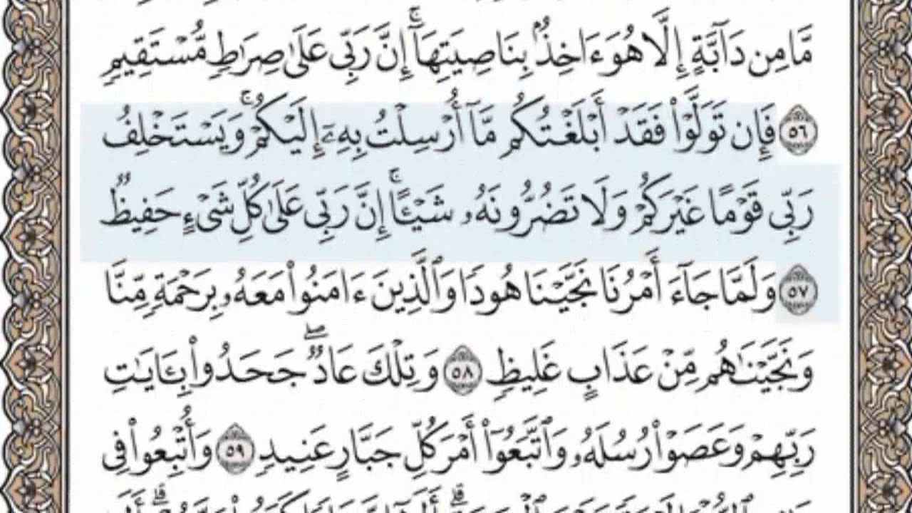 القرآن الكريم بالصفحات سماع وقراءة ص/ 228 الشيخ محمد صديق المنشاوي