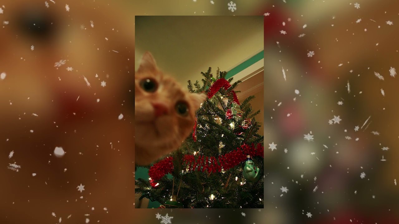 Believe (sped up) from 