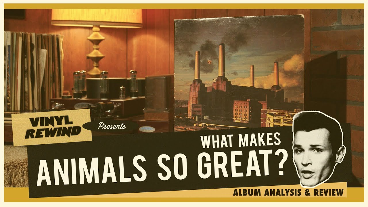 Что делает альбом Animals группы Pink Floyd таким замечательным? Анализ и рецензия альбома
