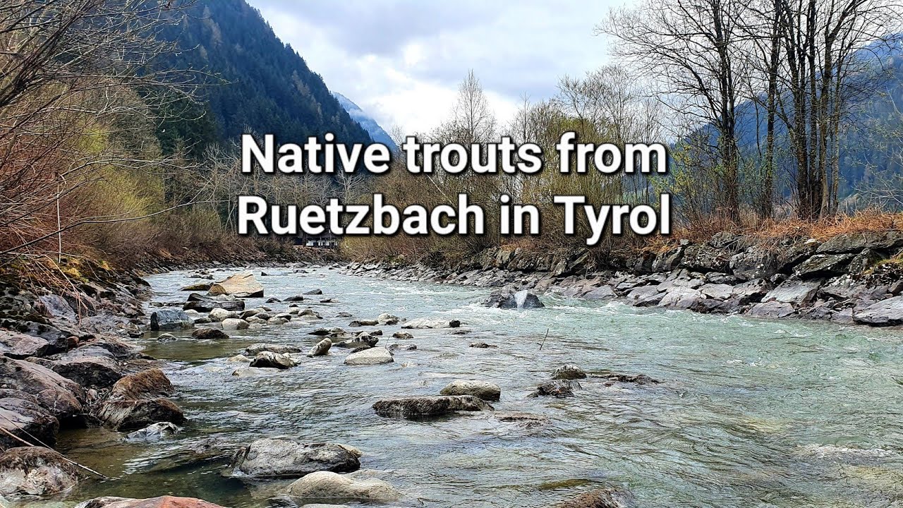 Fly fishing in Tyrol | Ruetzbach | Euro-nymphing for wild trout