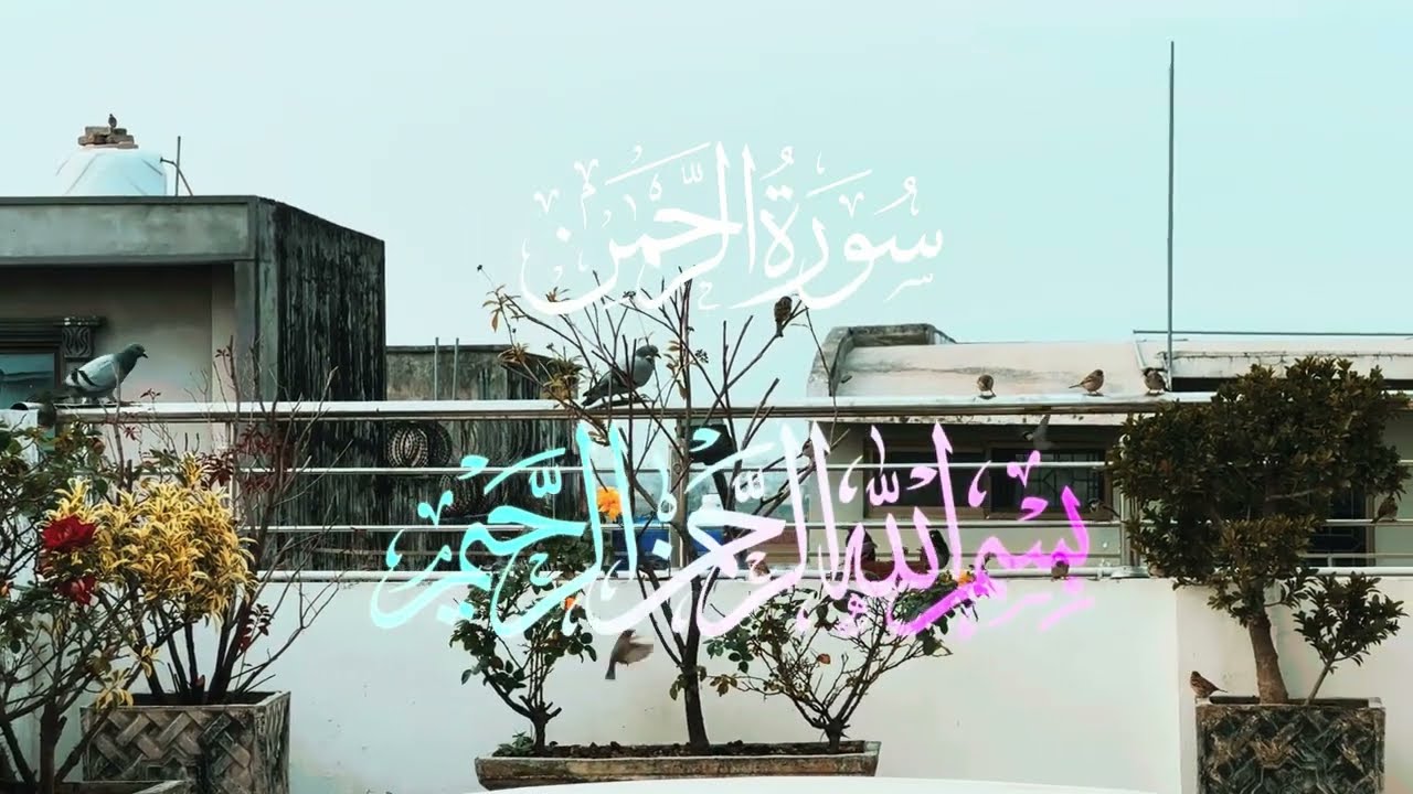 Surah Ar-Rahman | Heart-Touching Recitation with Urdu & English Translation🤍🌿#allah #quran #nature 