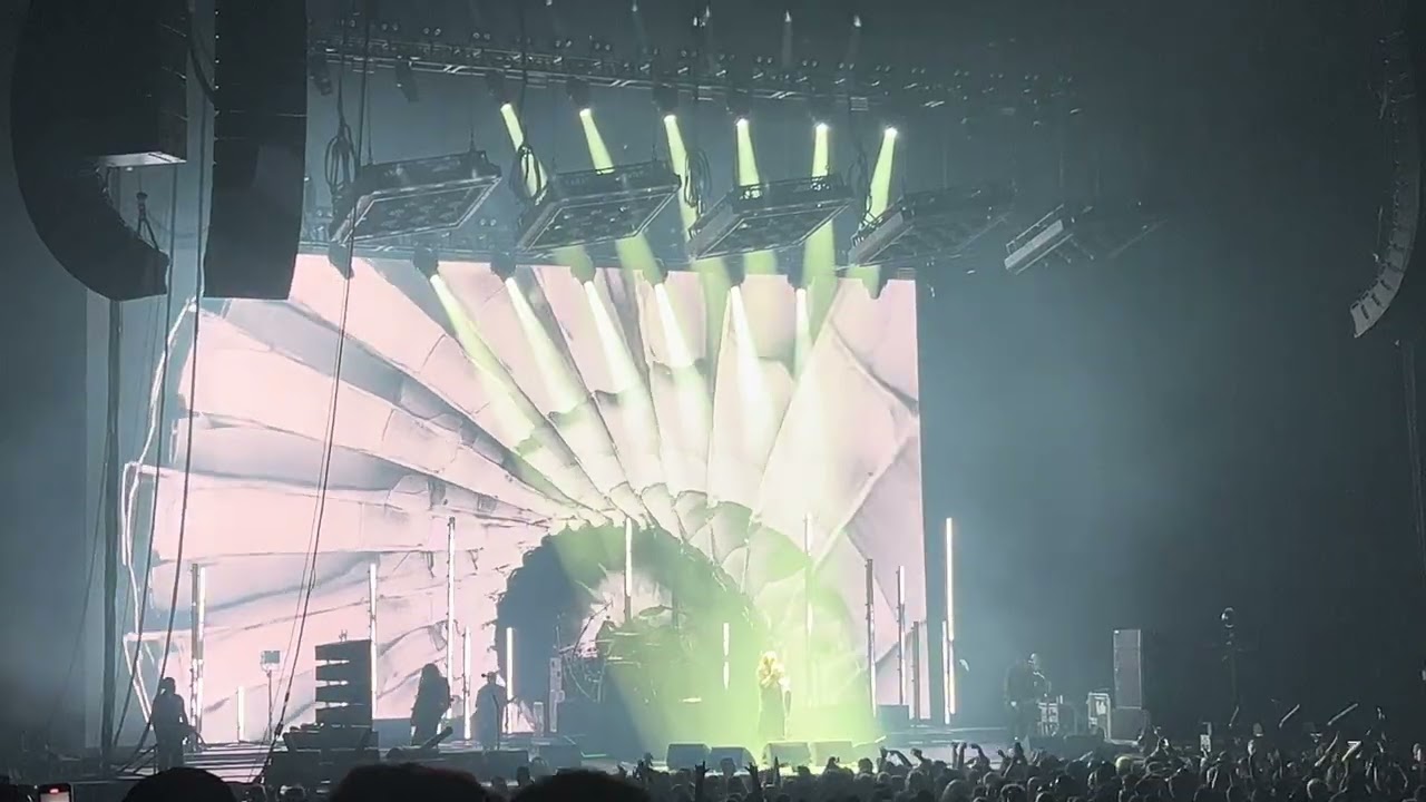 Korn - A.D.I.D.A.S (Live)