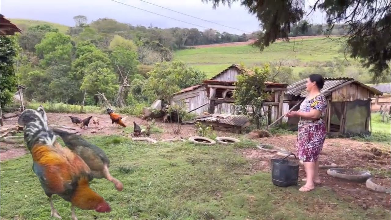 A simplicidade da roça # felicidade nos simples detalhes…