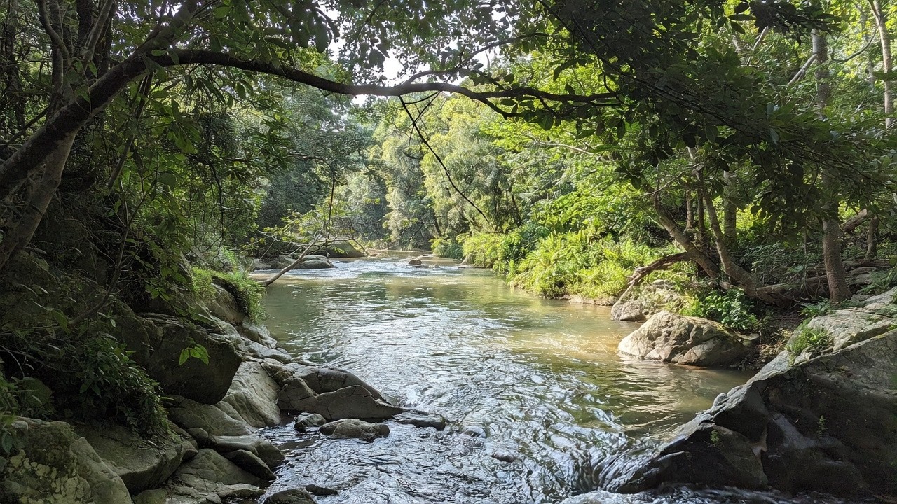 Escape the Chaos of Life and Focus Your Mind on the Pure Mountain River Waterfall Flowing#64