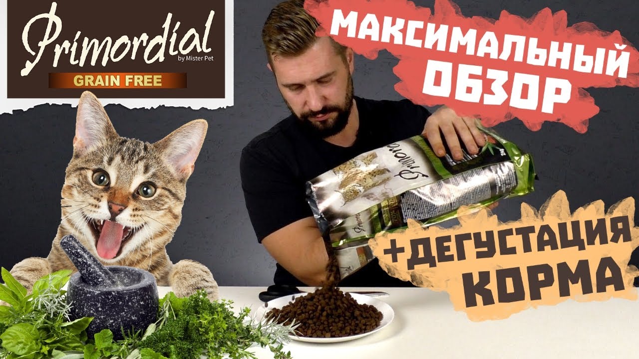 Расширяем знания в ботанике! | Сухой корм с редким ингредиентом | PRIMORDIAL для кошек