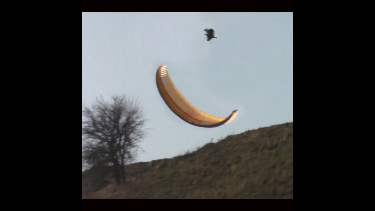 autumn flight - paragliding in Brandenburg - mit dem Gleitschirm im Berliner Umland