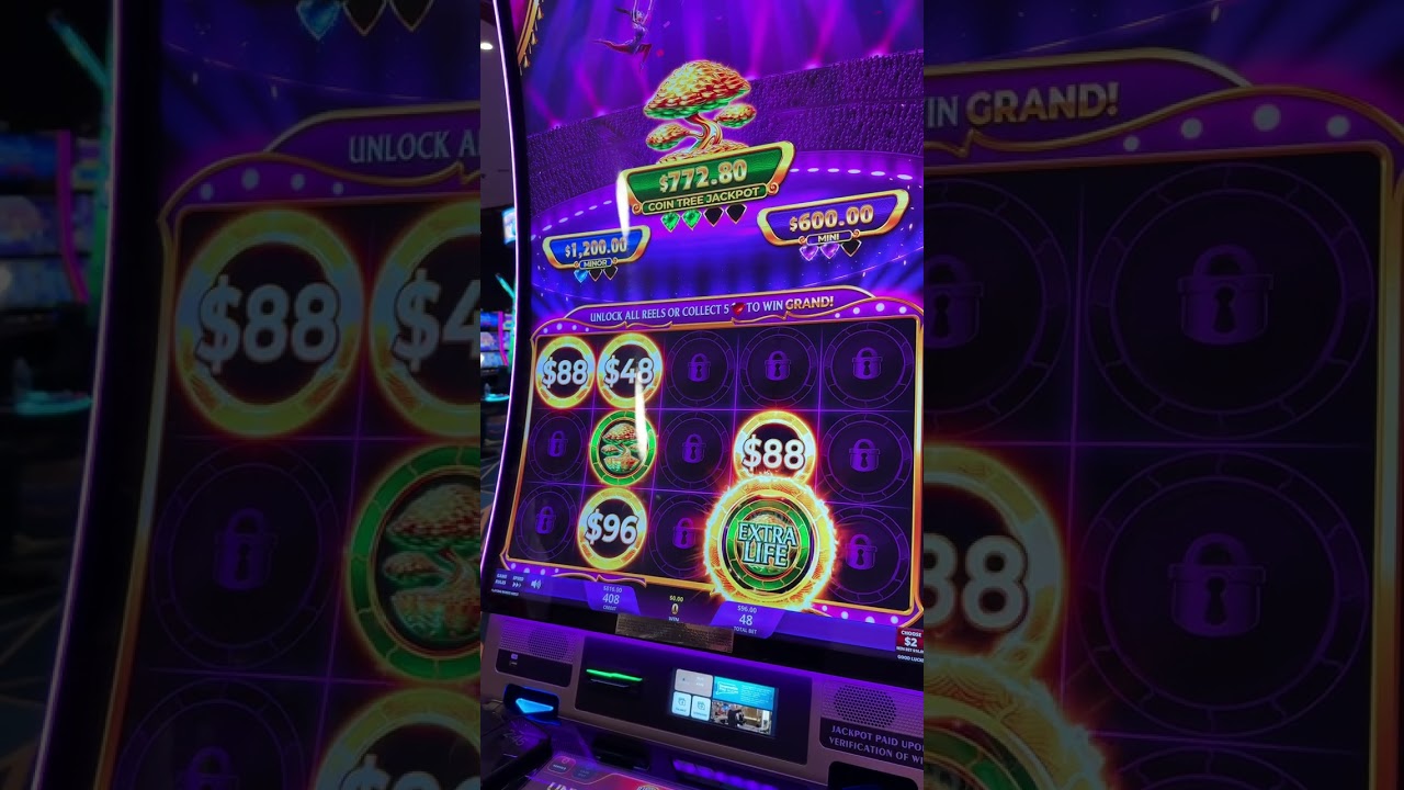 RARE TREE OF WEALTH BONUS #casino #gambling #slot