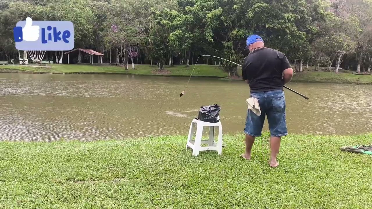 Pense num lago que tem tambaqui 