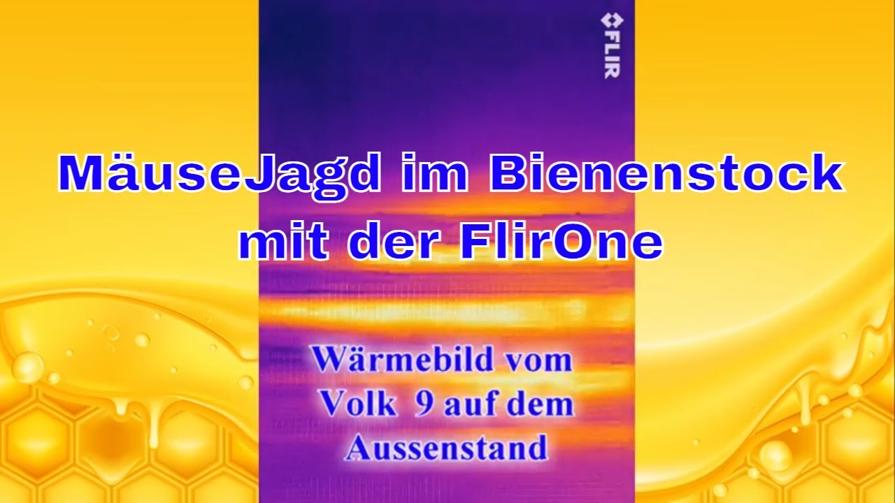 Imkerei und Bienen 2021 Starke V&ouml;lker auf dem Aussenstand