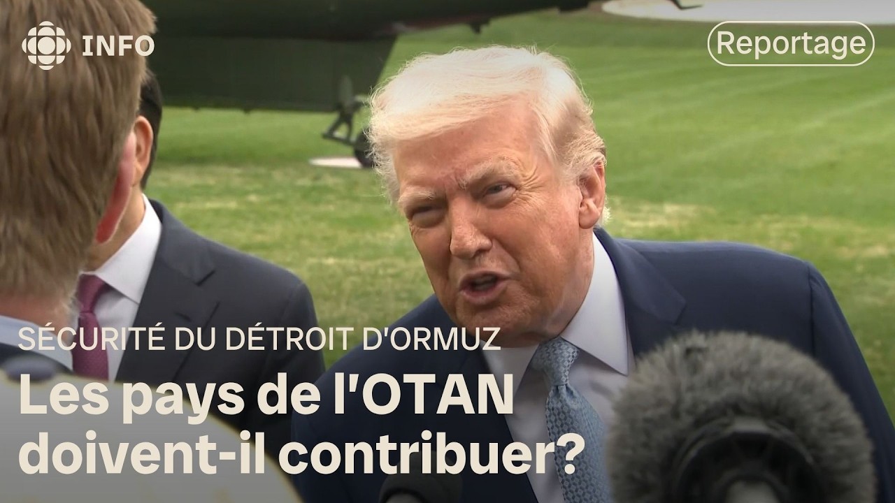Guerre contre l'Iran : Trump traite les pays de l'OTAN de « lâches »