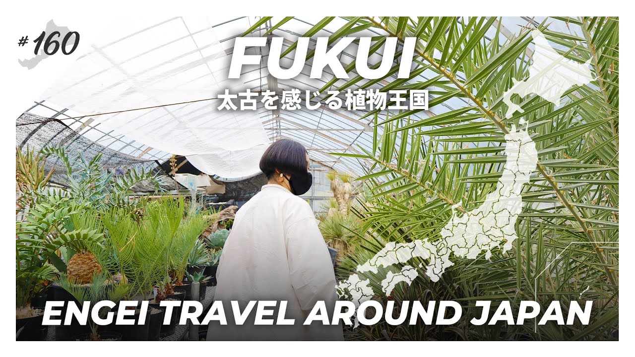 【福井県】太古を感じるビザールジャングルへ｜アガベ/塊根植物｜TREE VALLEY SABAE/Fukui Palm/17 BOTANICAL BASE｜【園芸日本一周：vol22】