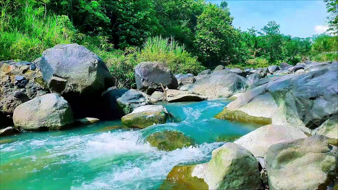 Live 24/7 Tranquil River Flow – Relaxing Water Sounds & Green Noise for Sleep & Calm