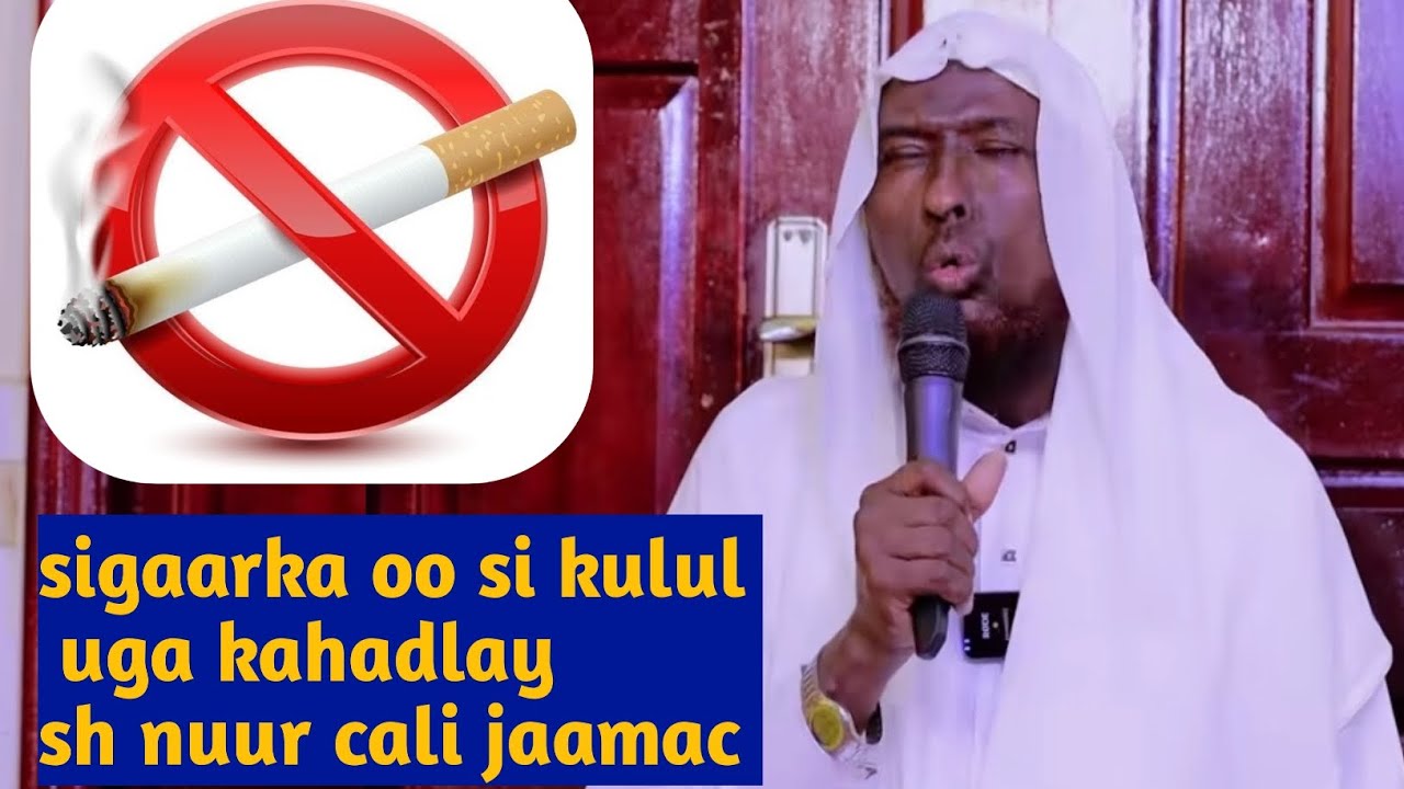 Qiso! nin sigaar uga go,ay wadan Gallo dartiiIyo ||Sh Nuur Cali Jaamac 《حفظه الله 》