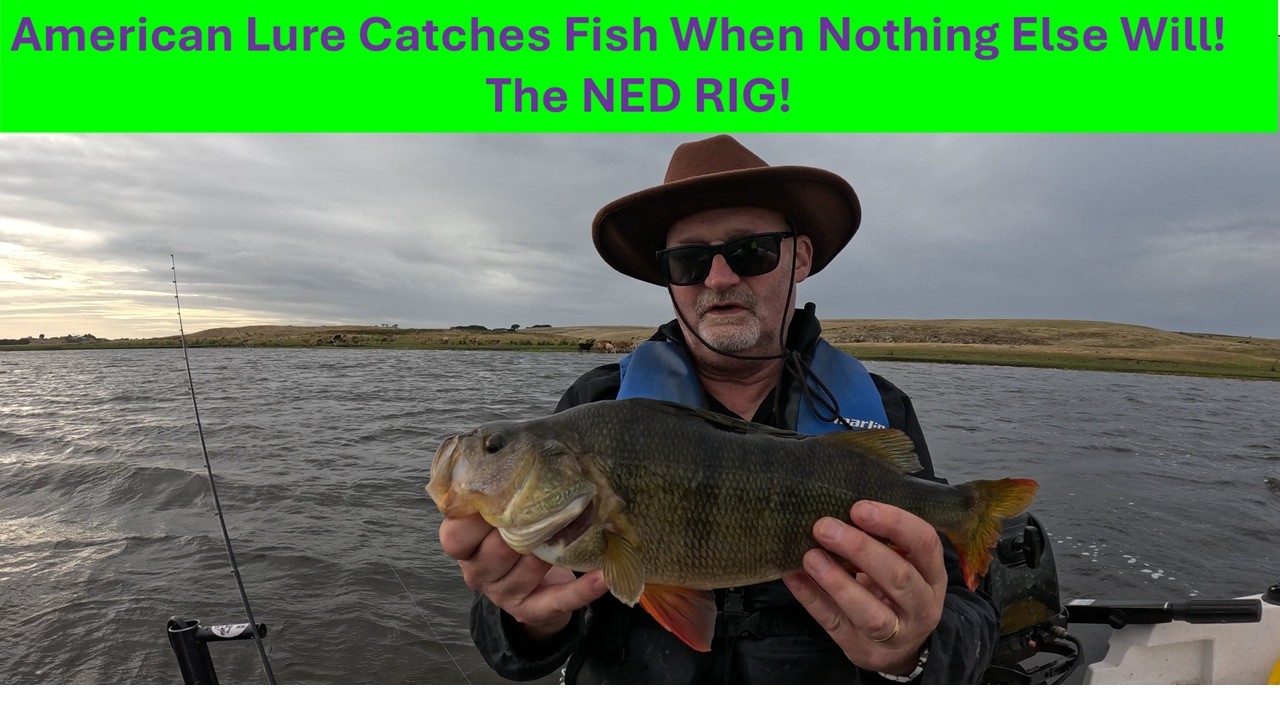 The Ned Rig. How to Catch when the Fish are not Biting
