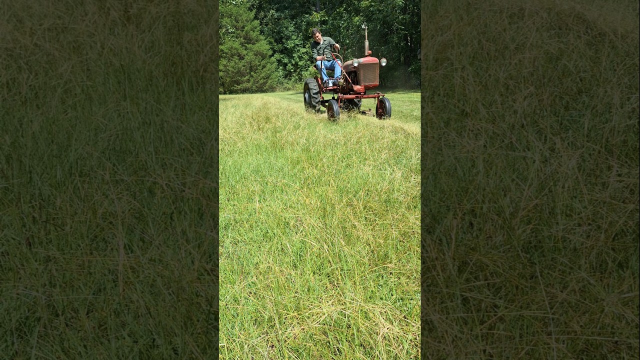 1948 Farmall Cub mowing grass #tractor #farmall #shorts