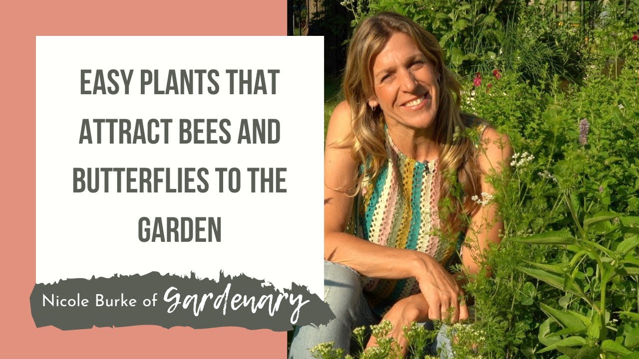 Easy Plants That Attract Bees and Butterflies to the Garden