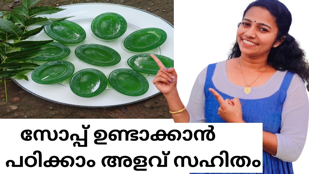 🤩കുറച്ചുസമയം കണ്ടെത്തുകയാണെങ്കിൽ നിങ്ങൾക്കും വീട്ടിൽ ഇരുന്ന് വരുമാനം കണ്ടെത്താം 👍🏻
