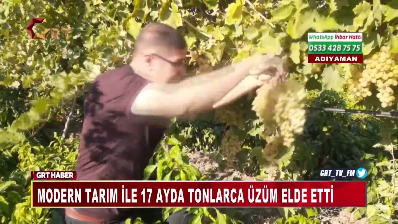 Modern Tarım İle 17 Ayda Tonlarca &Uuml;z&uuml;m Elde Etti