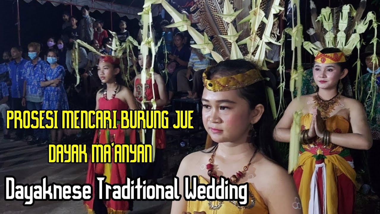 Prosesi Mencari Burung Jue Dayaknese Traditional Wedding Dayak Maanyan