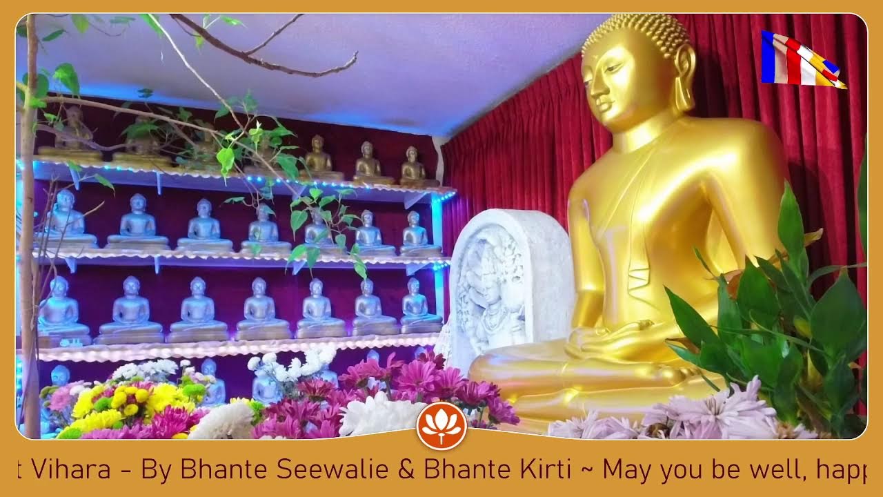 ☸️ Daily Chanting - January 24, 2026