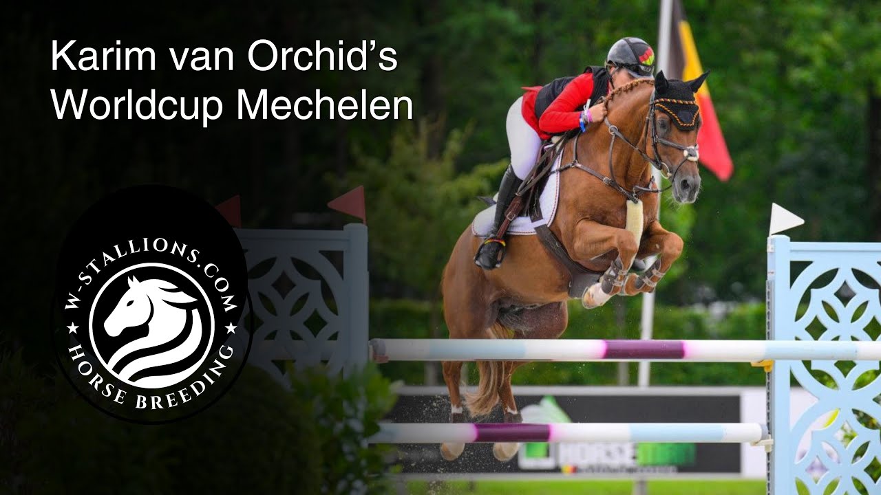 Karim van Orchid's und Hannah bei dem Weltcupturnier in Mechelen I W-STALLIONS.COM