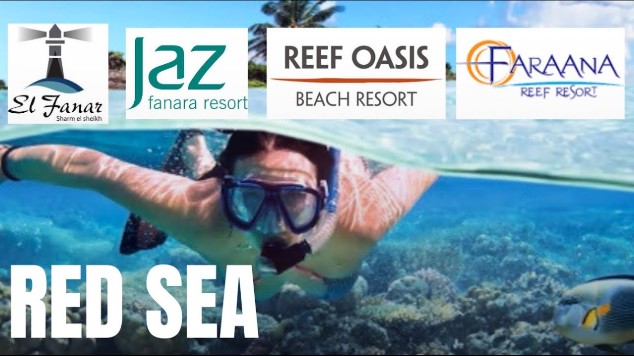 BEST Snorkeling Sharm El Sheikh 2025 | El Fanar, Reef Oasis Resort, Jaz Fanara, Faraana Reef Resort