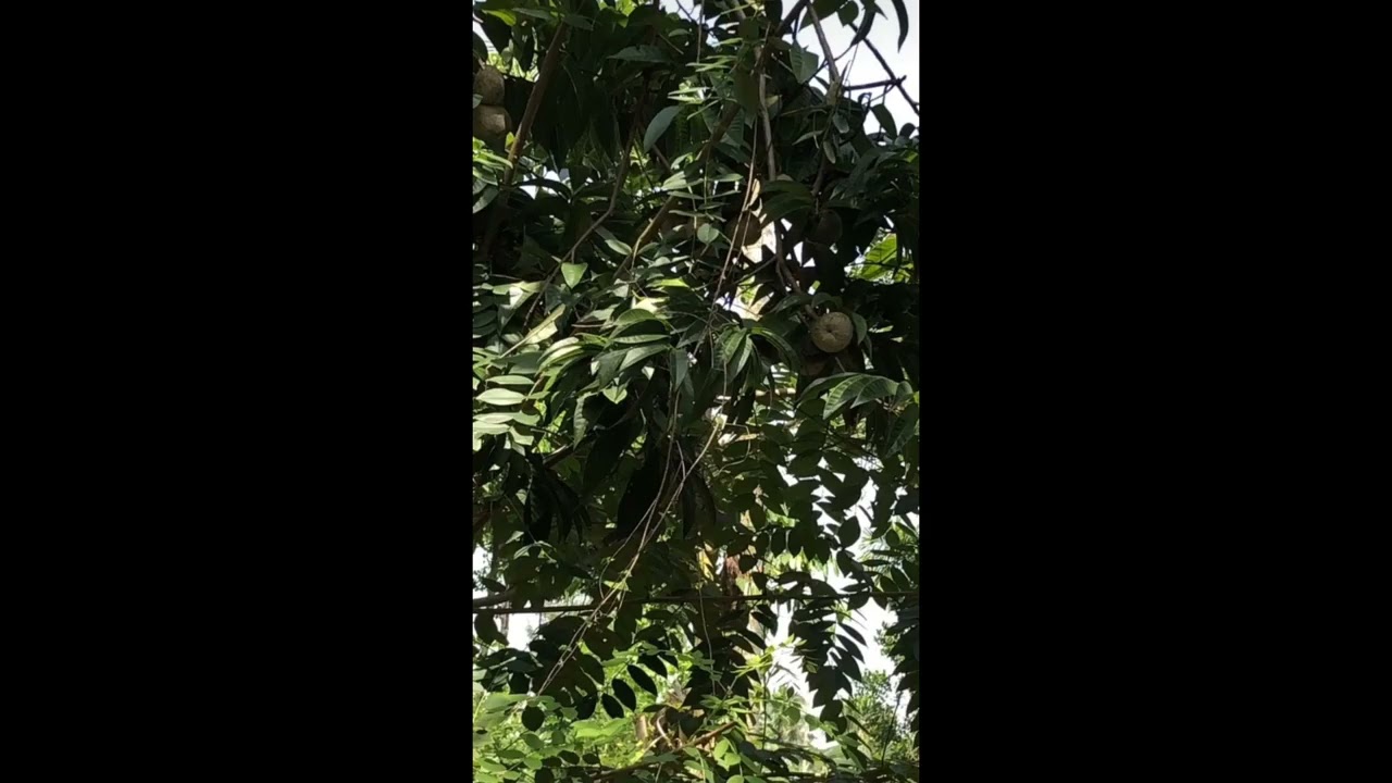 LKR. 45000/- Per Perch | Land For Sale In Matale