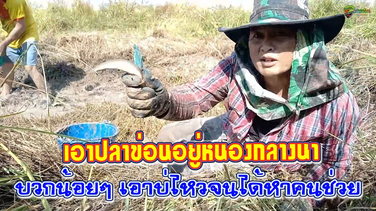 เอาปลาข่อนอยู่หนองกลางนา บวกน้อยๆ แต่ปลาหลายจนต้องได้เรียกคนช่วย