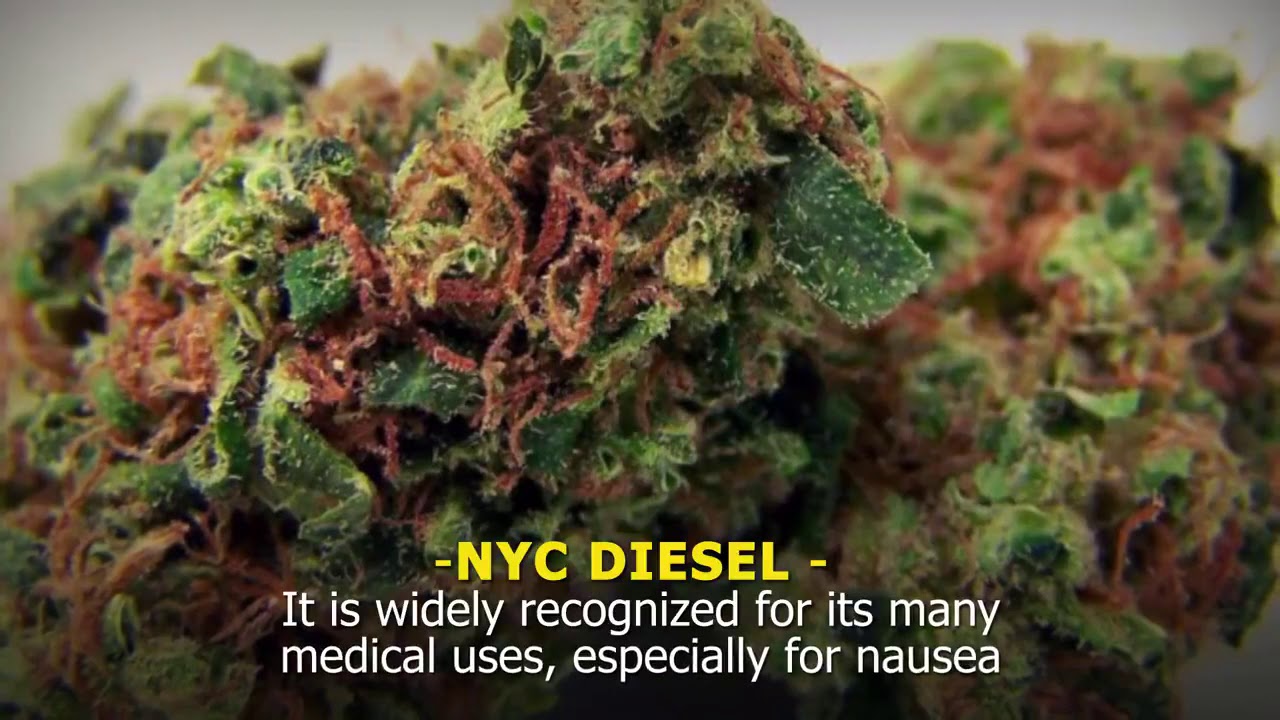 Cannabis for an Upset Stomach and Nausea? What Strains Work Best?