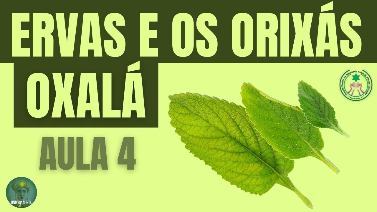 FOLHAS DE OXALÁ - CURSO ERVAS E OS ORIXÁS.
