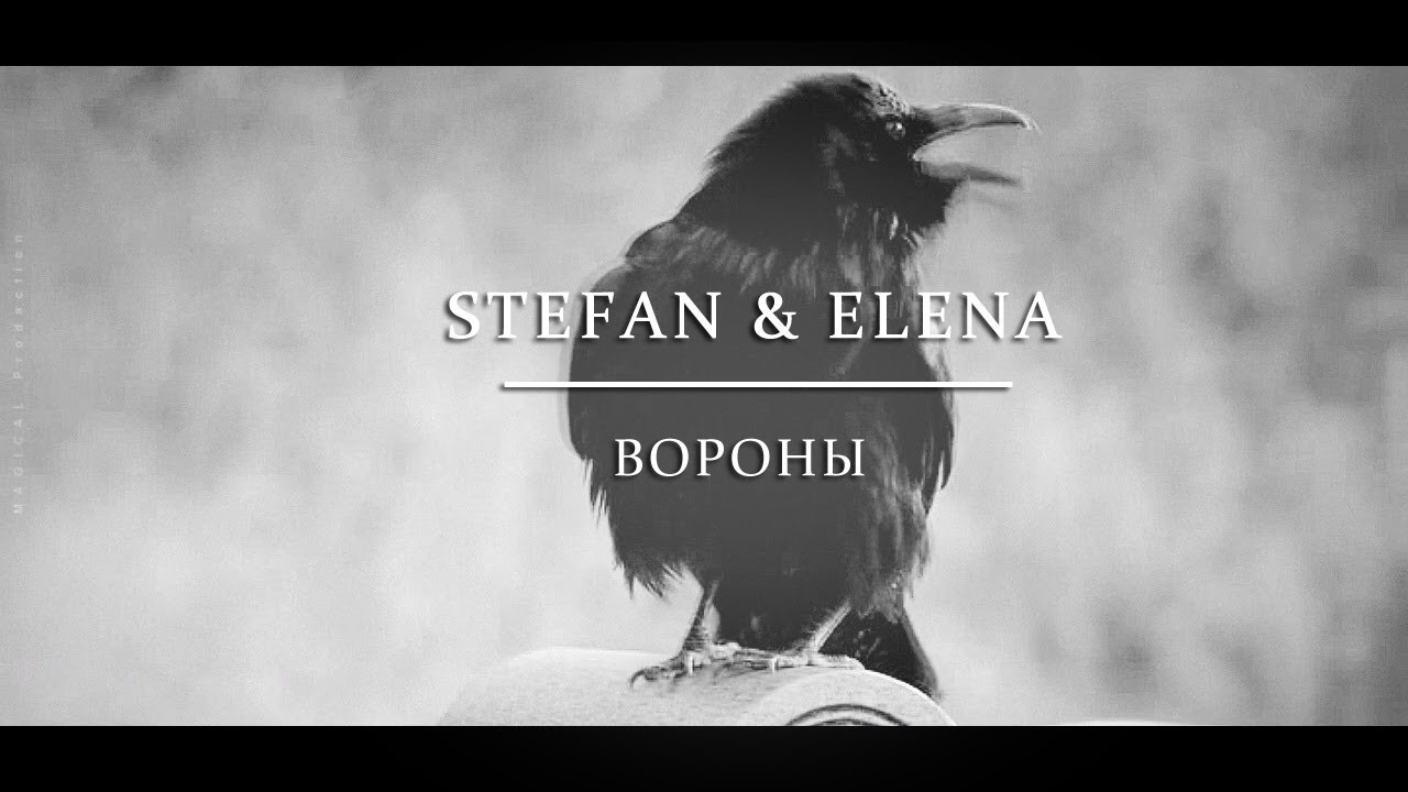► STEFAN & ELENA | Вороны