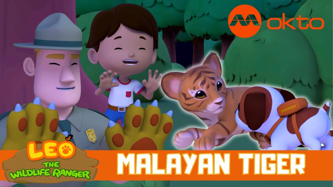 Tiger cubs are SO CUTE... where is its mom? | Leo the Wildlife Ranger Spinoff S4E05 | @mediacorpokto