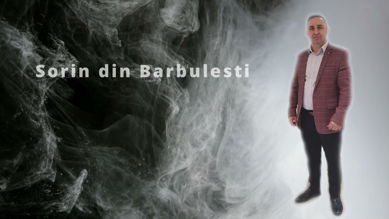 Sorin din Barbulesti ♪   - Ame besas! (cover)