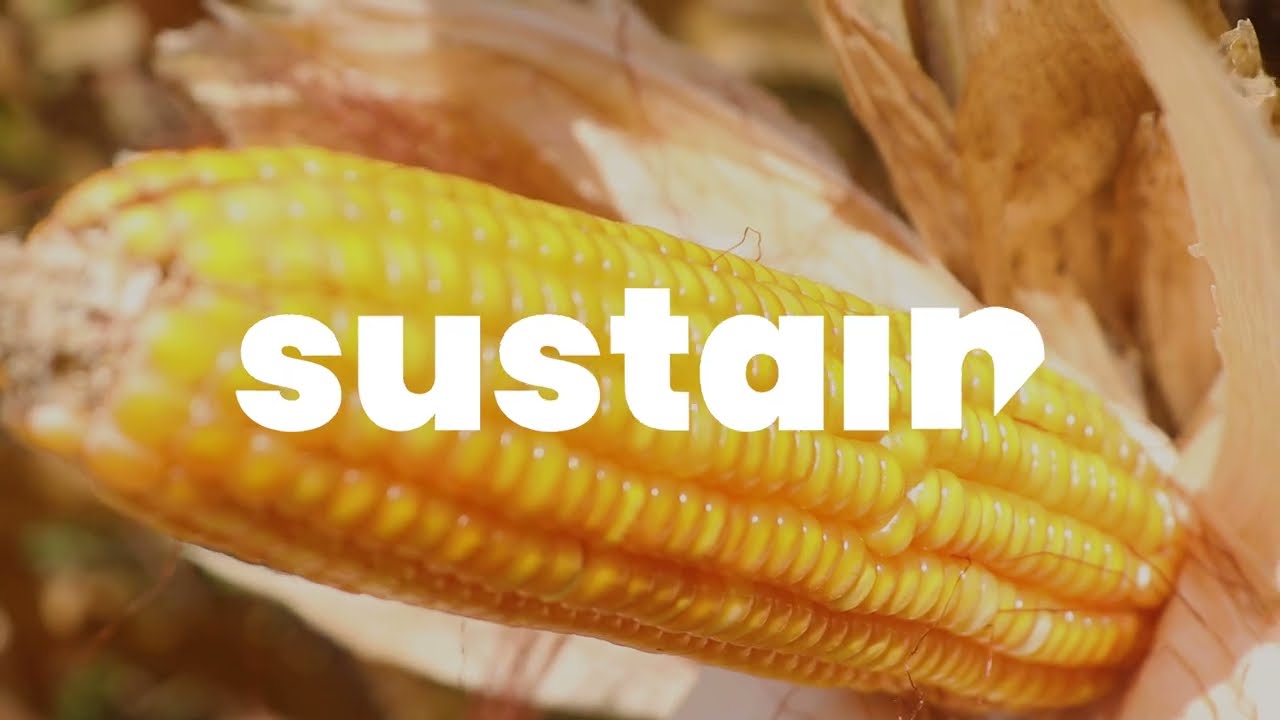 Climate smart agriculture helping farmers to get better yields