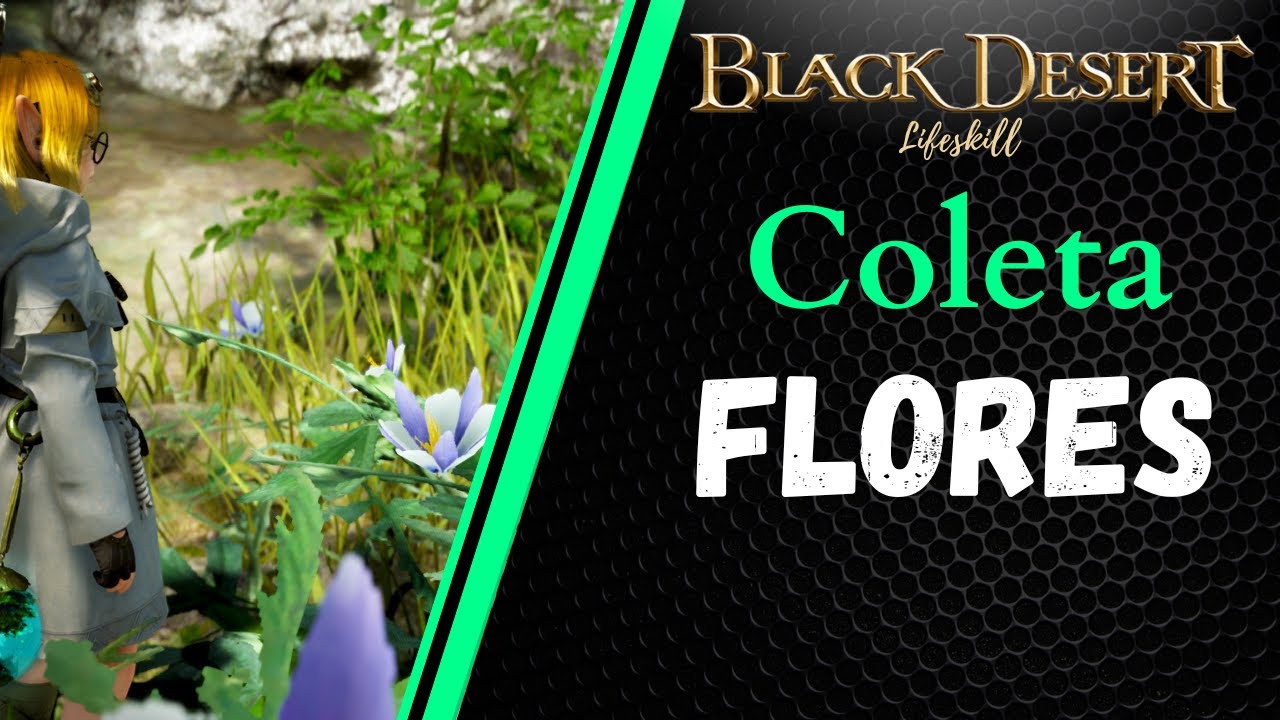 [BDO Lifeskill] Coleta: Flores (Flower rotation)