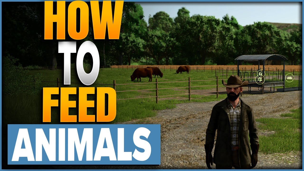 How To Feed And Water Your Animals In Farming Simulator 25