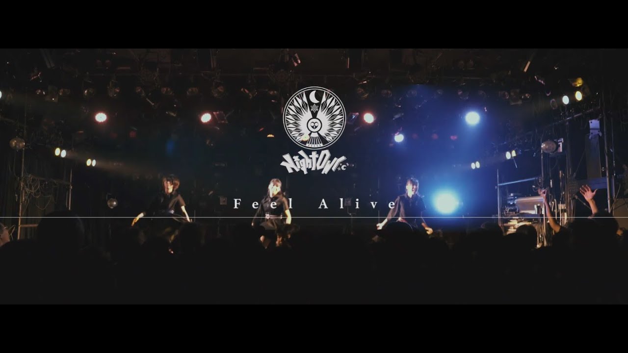 Official Lyric Video | NightOwl - Feel Alive(Lyrics)