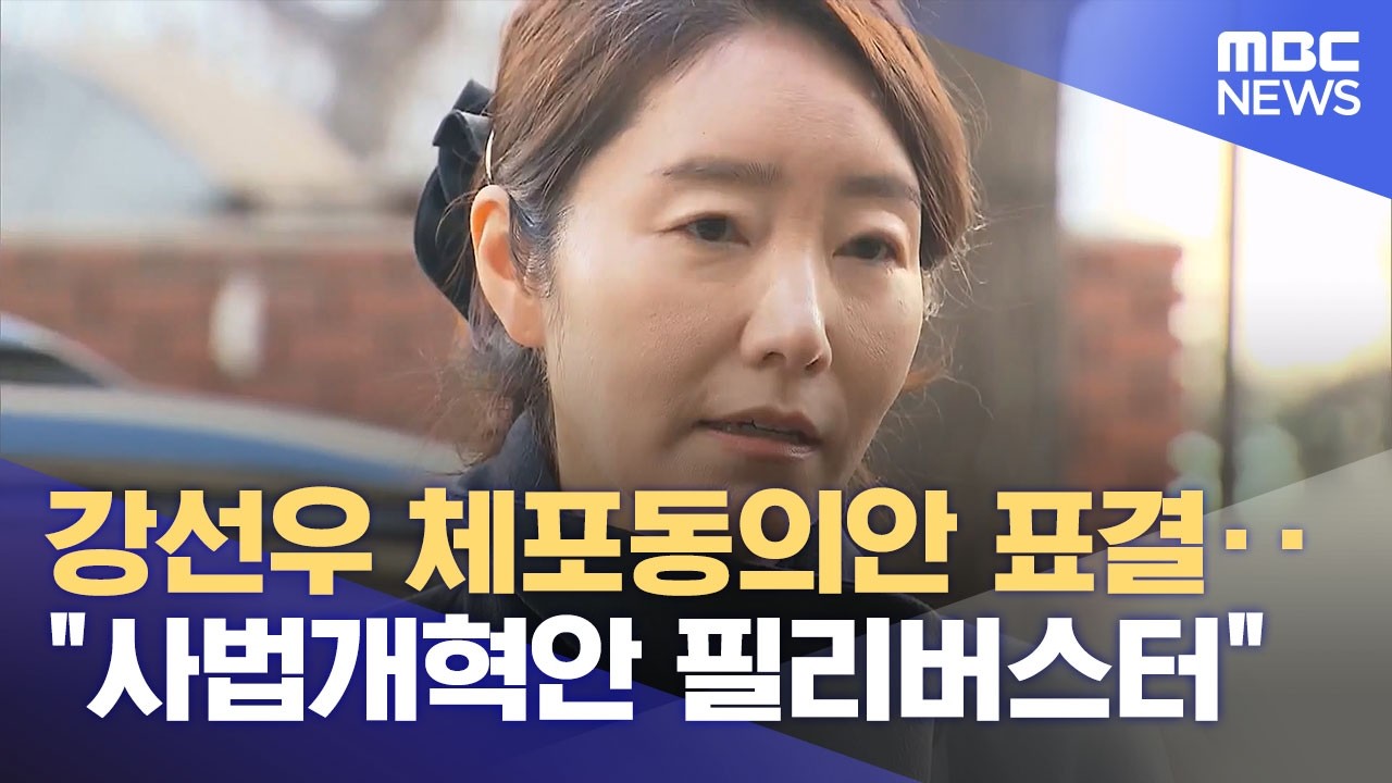 강선우 체포동의안 표결‥