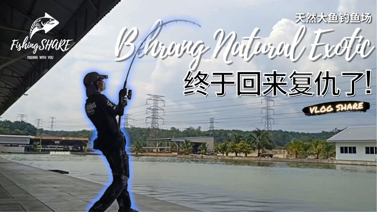 【FishingShare】BEHRANG NATURAL EXOTIC FISHING POND|天然大鱼钓鱼场！终于回来复仇了！I had returned for REVENGE!