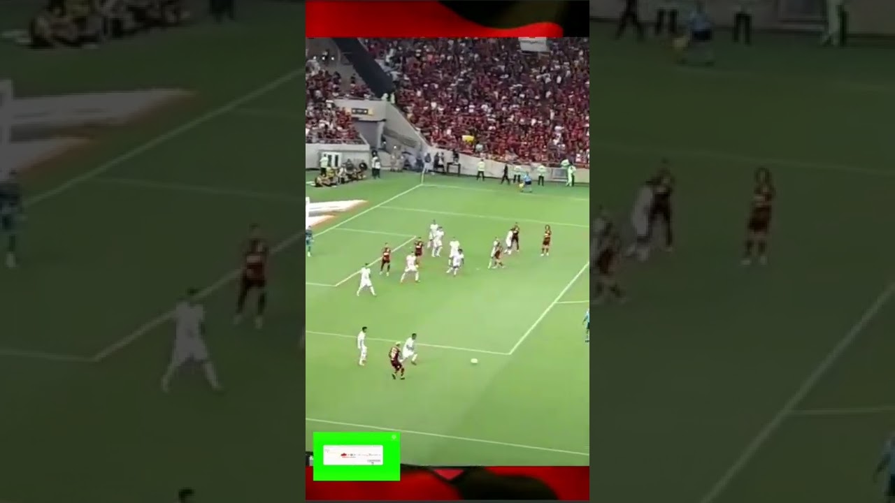 FLAMENGO DE PAULO SOUSA QUE LINDA JOGADA.