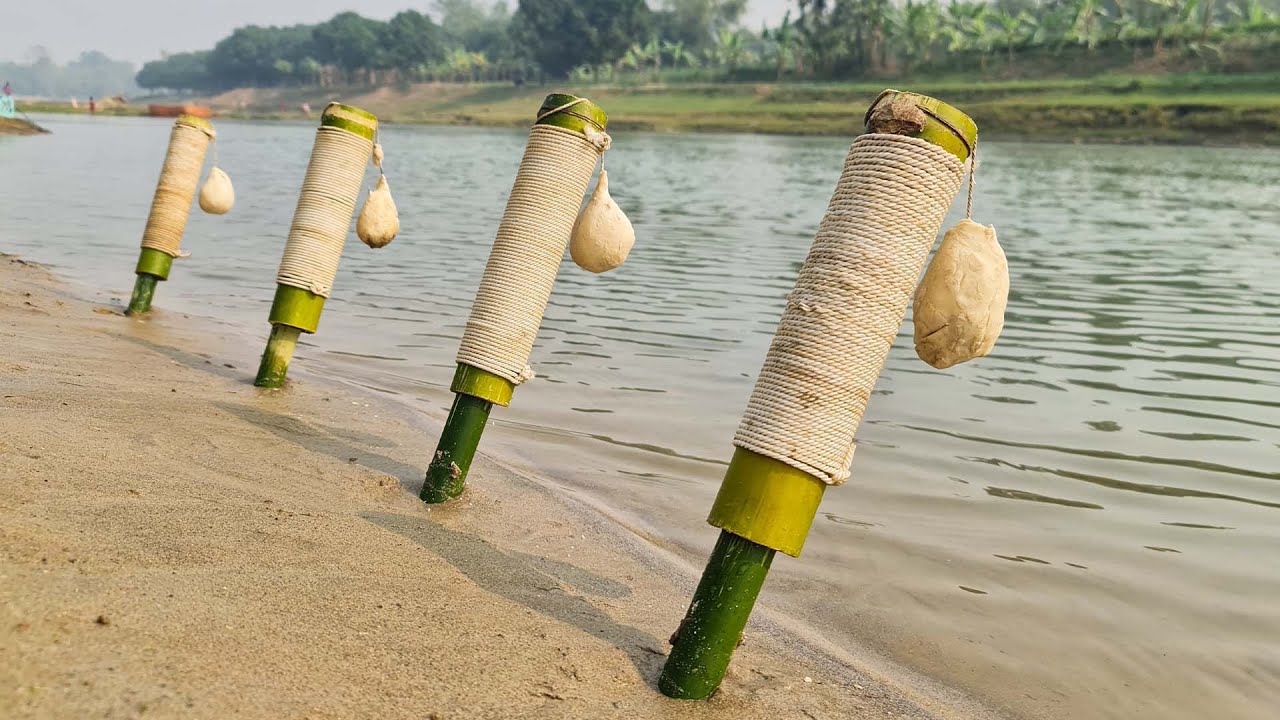 I Caught a MONSTER Fish Using This Simple Hook Trick