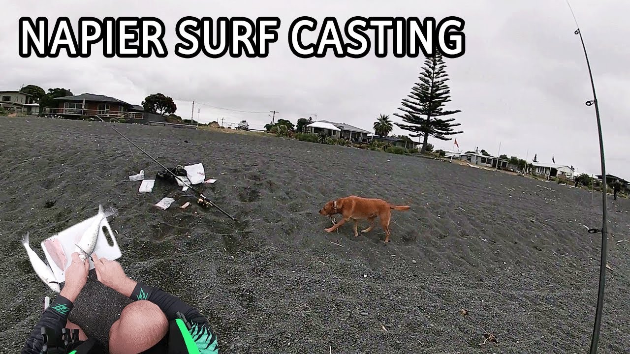 Napier Beach Surfcasting Kahawai Catch n Cook Summer Road trip NZ