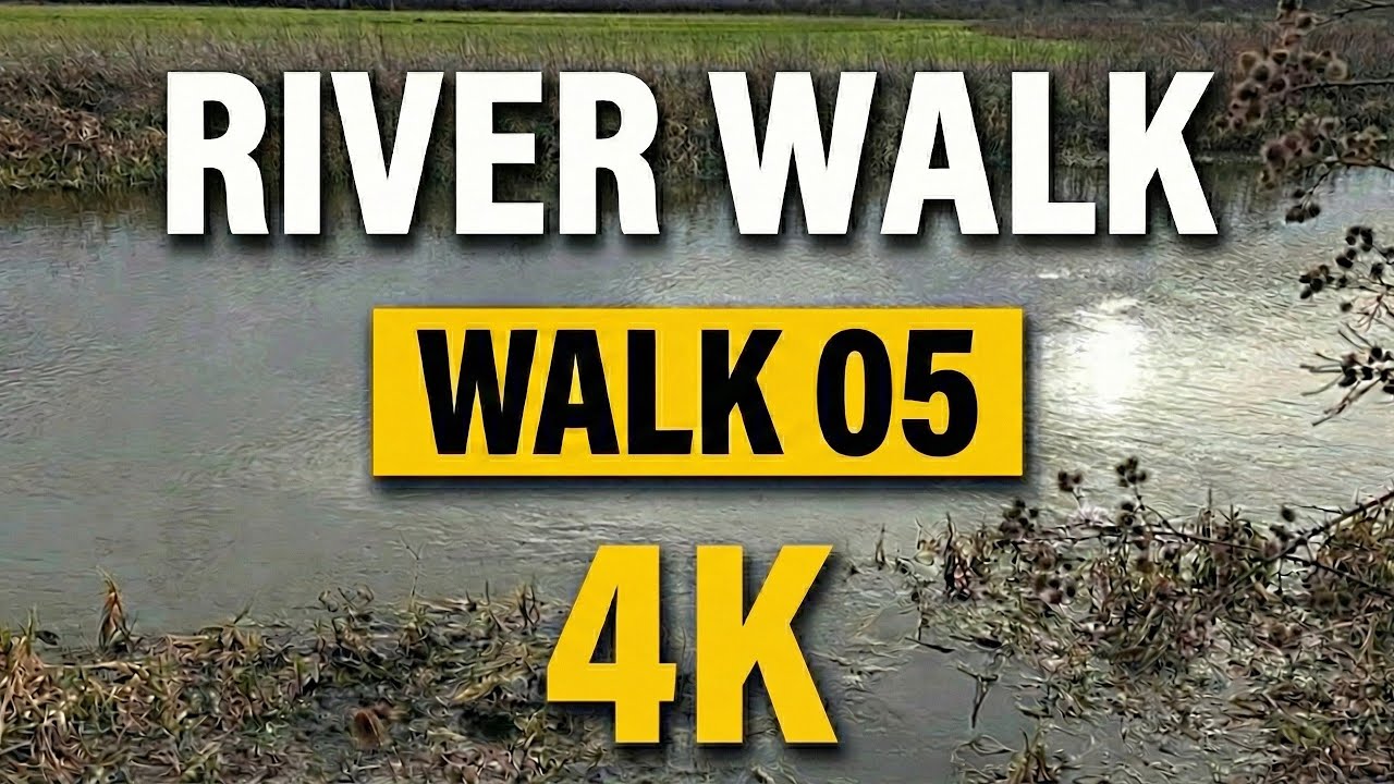Walk 005/100: Moody Urban River Walk, Relaxing and Calm Music - Chelmsford 4K