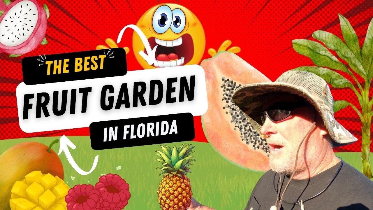 Amazing Tropical Food Garden !!!