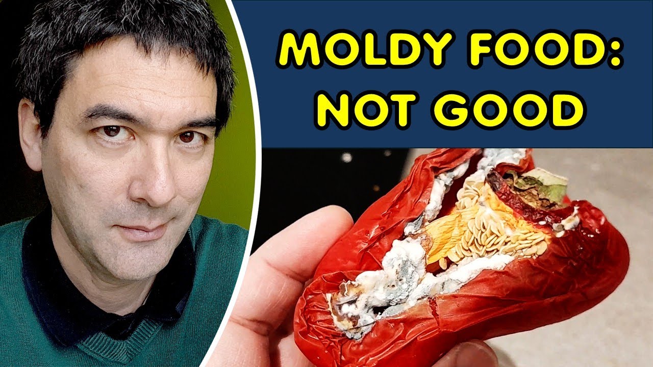 Why you should not eat MOLDY FOOD